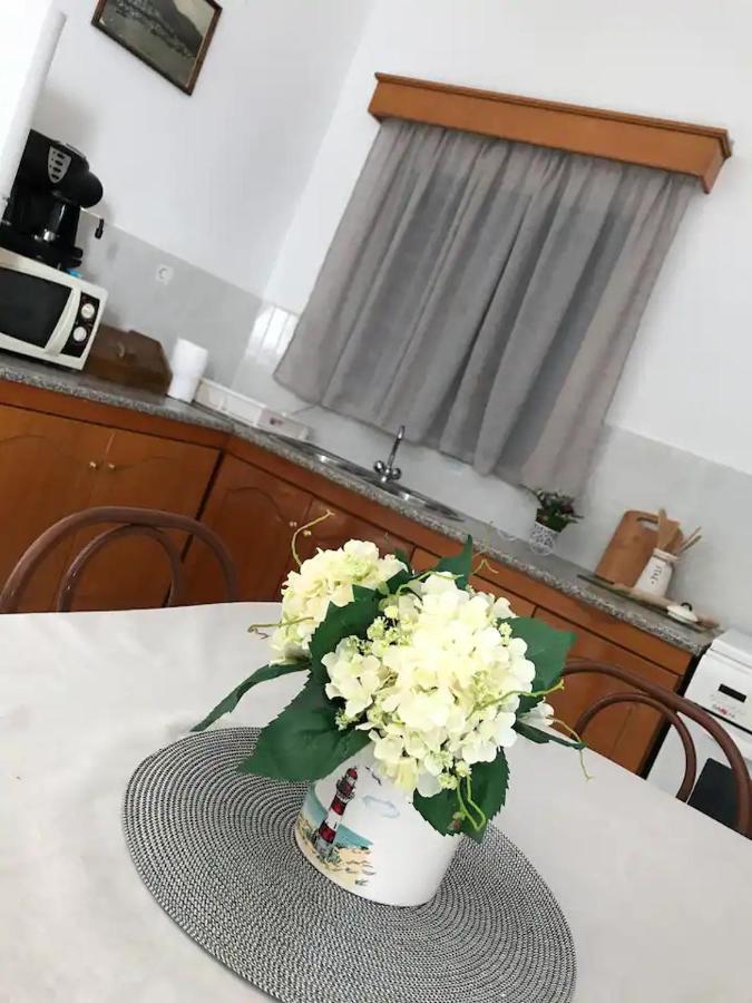 Villa Konstantina Skaliá 外观 照片